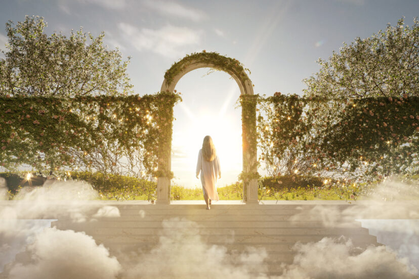 soul shizzle the afterlife & the records